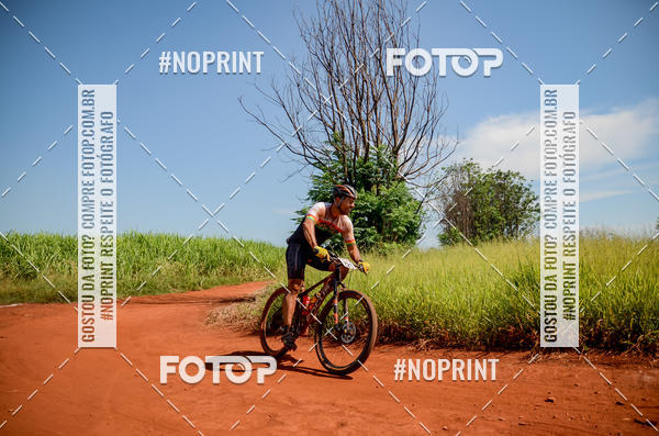 Buy your photos of the eventALIGA on Fotop