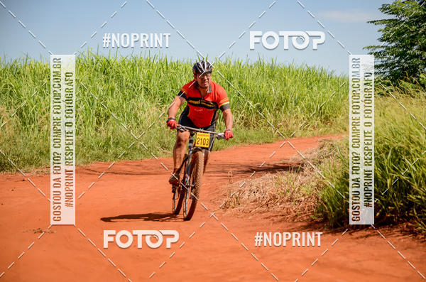 Buy your photos of the eventALIGA on Fotop