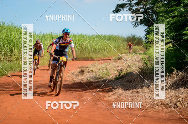 Buy your photos of the eventALIGA on Fotop