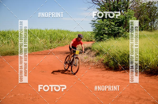 Buy your photos of the eventALIGA on Fotop