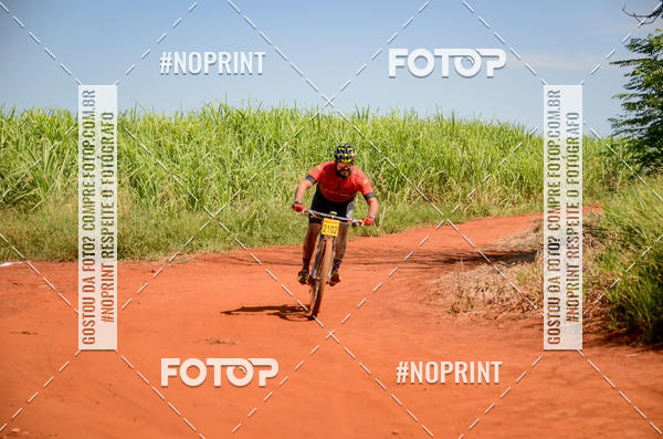 Buy your photos of the eventALIGA on Fotop