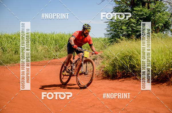 Buy your photos of the eventALIGA on Fotop