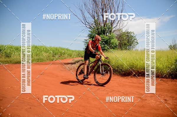 Buy your photos of the eventALIGA on Fotop