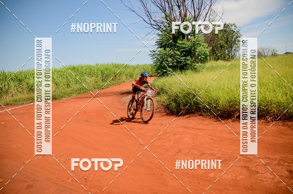 Buy your photos of the eventALIGA on Fotop