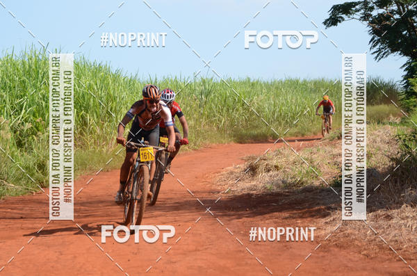 Buy your photos of the eventALIGA on Fotop