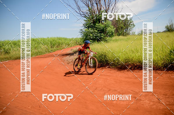 Buy your photos of the eventALIGA on Fotop