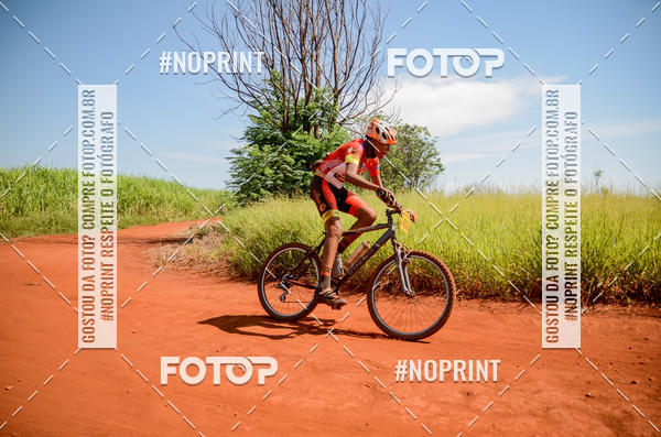 Buy your photos of the eventALIGA on Fotop