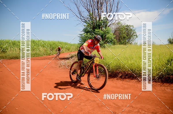 Buy your photos of the eventALIGA on Fotop