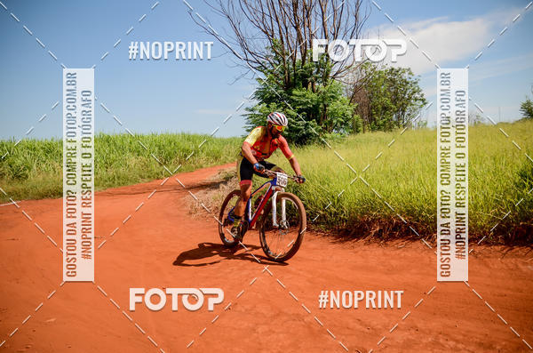 Buy your photos of the eventALIGA on Fotop