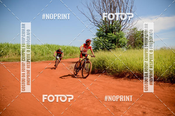 Buy your photos of the eventALIGA on Fotop