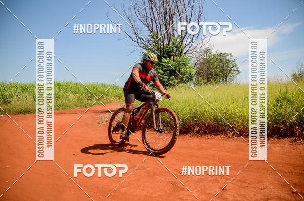 Buy your photos of the eventALIGA on Fotop