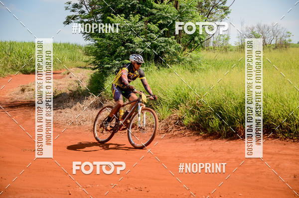 Buy your photos of the eventALIGA on Fotop