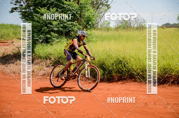 Buy your photos of the eventALIGA on Fotop