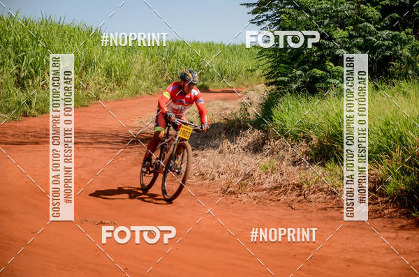 Buy your photos of the eventALIGA on Fotop