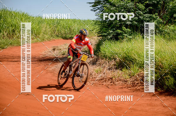 Buy your photos of the eventALIGA on Fotop