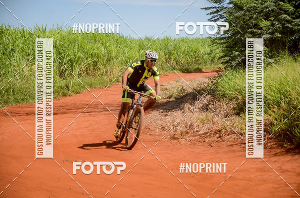 Buy your photos of the eventALIGA on Fotop