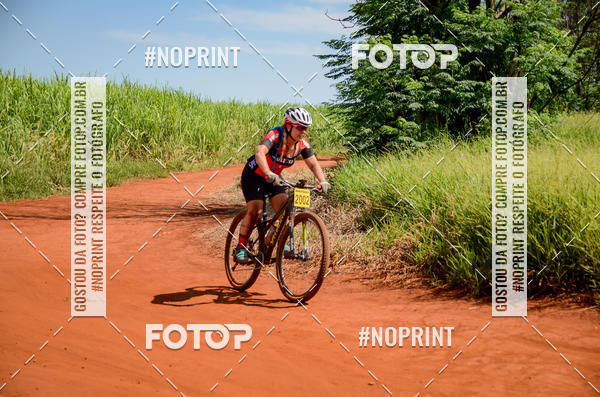 Buy your photos of the eventALIGA on Fotop