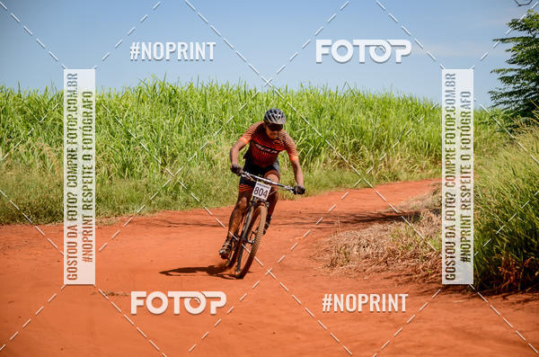 Buy your photos of the eventALIGA on Fotop