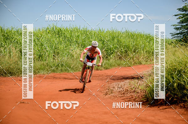 Buy your photos of the eventALIGA on Fotop