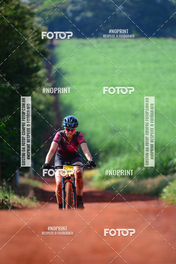 Buy your photos of the eventALIGA on Fotop