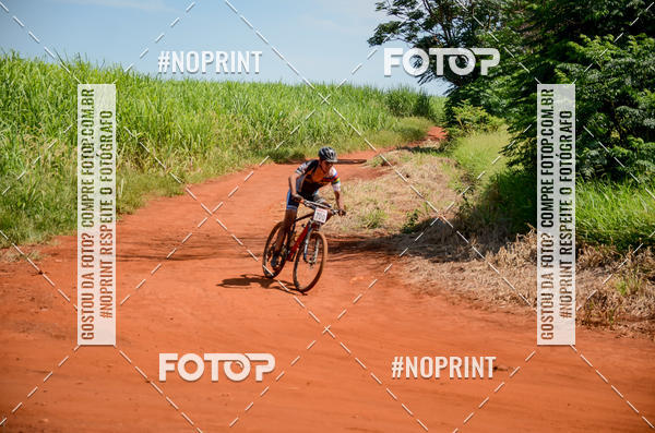 Buy your photos of the eventALIGA on Fotop