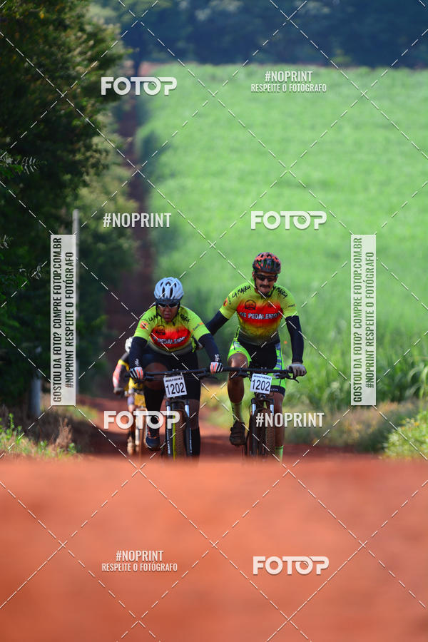 Buy your photos of the eventALIGA on Fotop