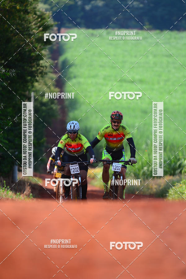 Buy your photos of the eventALIGA on Fotop