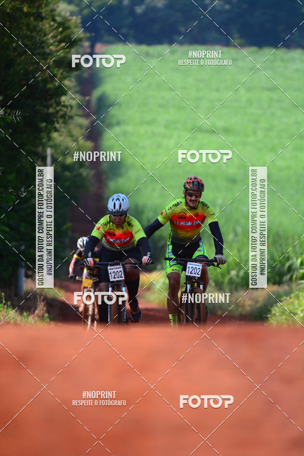 Buy your photos of the eventALIGA on Fotop