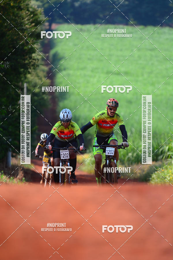 Buy your photos of the eventALIGA on Fotop