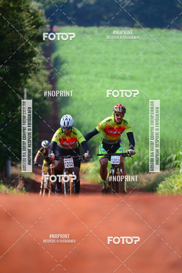 Buy your photos of the eventALIGA on Fotop