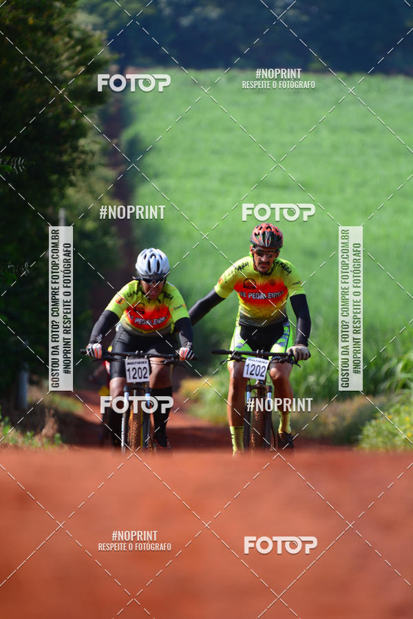 Buy your photos of the eventALIGA on Fotop