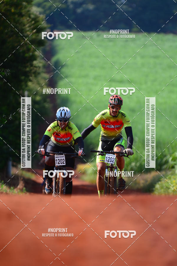 Buy your photos of the eventALIGA on Fotop