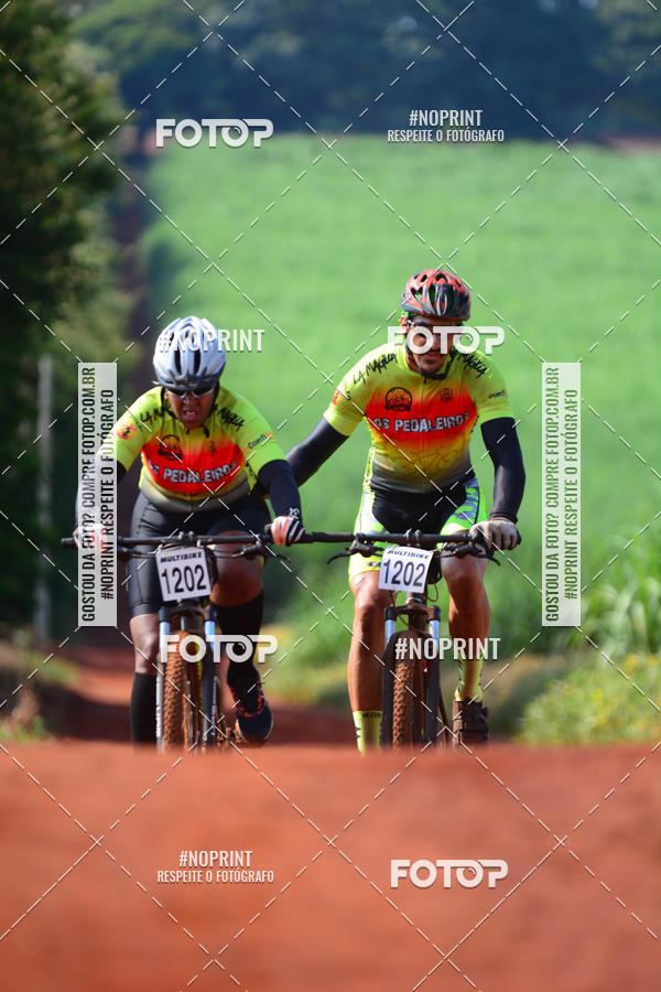 Buy your photos of the eventALIGA on Fotop