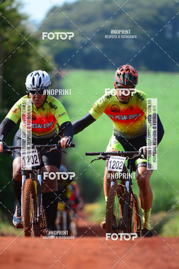 Buy your photos of the eventALIGA on Fotop