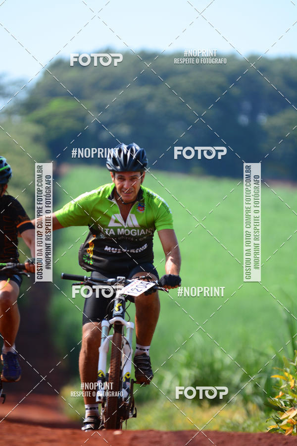 Buy your photos of the eventALIGA on Fotop