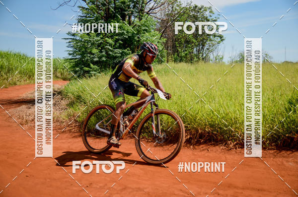 Buy your photos of the eventALIGA on Fotop