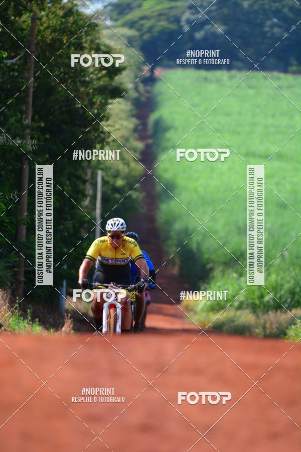 Buy your photos of the eventALIGA on Fotop