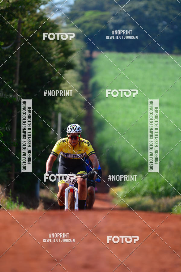 Buy your photos of the eventALIGA on Fotop