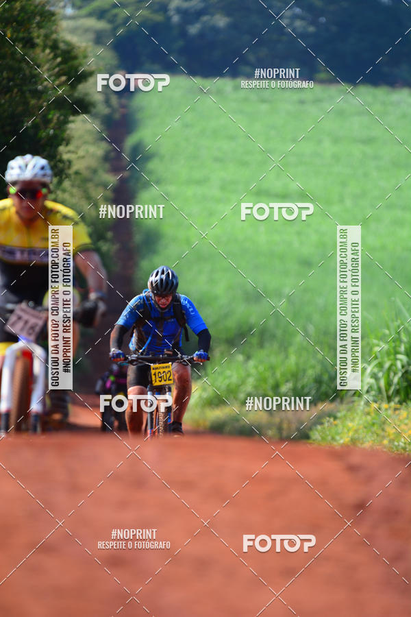 Buy your photos of the eventALIGA on Fotop