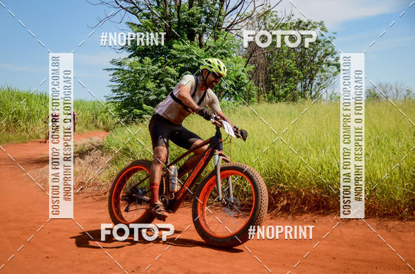 Buy your photos of the eventALIGA on Fotop