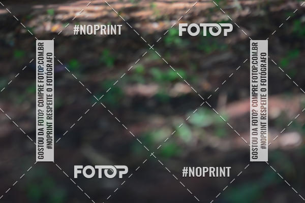 Buy your photos of the eventALIGA on Fotop