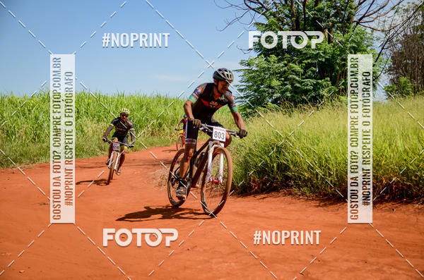 Buy your photos of the eventALIGA on Fotop