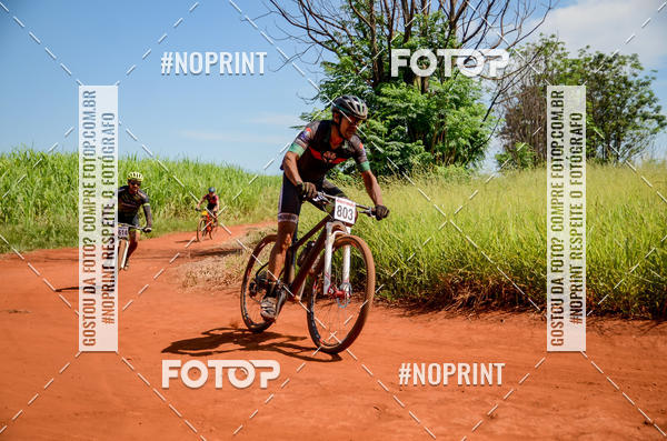 Buy your photos of the eventALIGA on Fotop