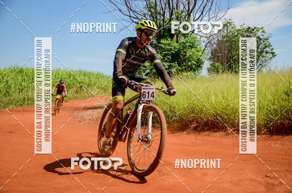 Buy your photos of the eventALIGA on Fotop