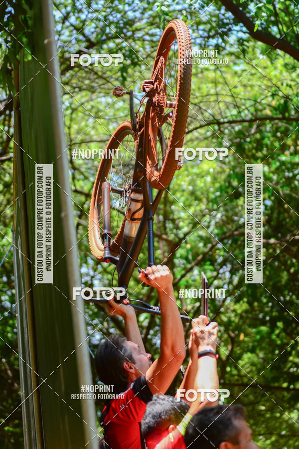 Buy your photos of the eventALIGA on Fotop