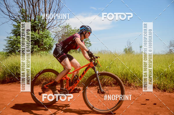 Buy your photos of the eventALIGA on Fotop