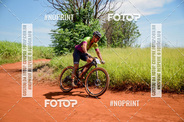 Buy your photos of the eventALIGA on Fotop