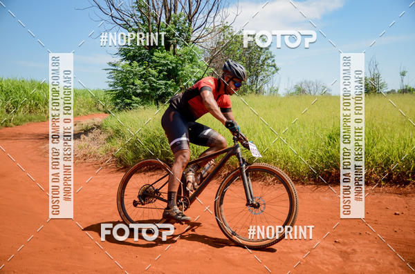 Buy your photos of the eventALIGA on Fotop