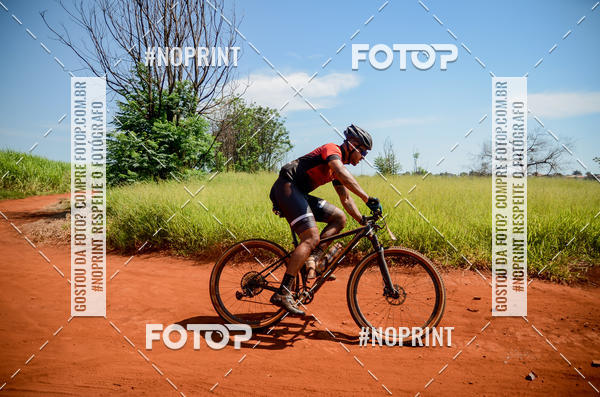 Buy your photos of the eventALIGA on Fotop