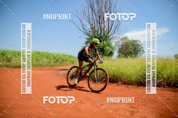 Buy your photos of the eventALIGA on Fotop